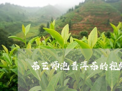 茶艺师泡普洱茶的视频/2023092969381