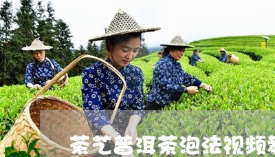 茶艺普洱茶泡法视频教程/2023081447283