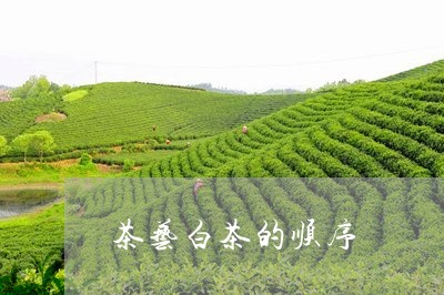 茶艺白茶的顺序/2023060944927