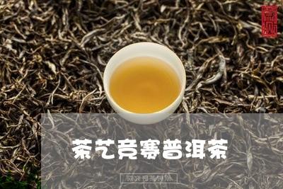 茶艺竞赛普洱茶/2023110982847