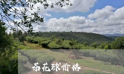 茶花球价格/2023122052915