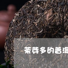 茶芽多的普洱茶品种/2023121837593