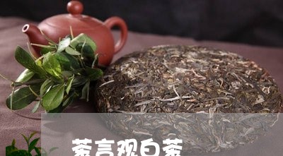 茶言观白茶/2023051159515