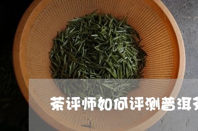 茶评师如何评测普洱茶/2023080326359