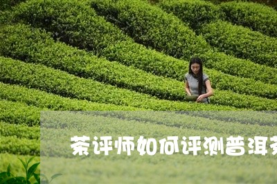 茶评师如何评测普洱茶/2023100715027