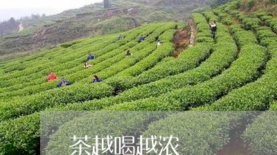 茶越喝越浓/2023090294048