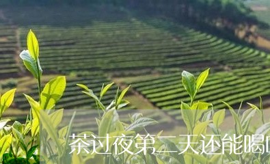 茶过夜第二天还能喝吗/2023071494714