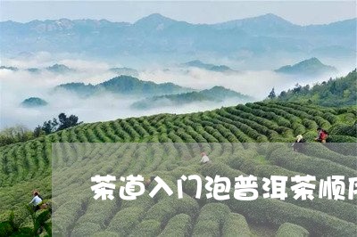 茶道入门泡普洱茶顺序/2023100650705