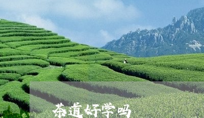 茶道好学吗/2023090280492