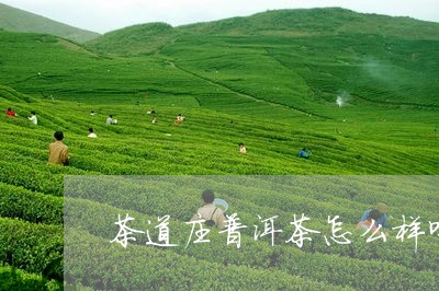 茶道庄普洱茶怎么样喝最好/2023121893928