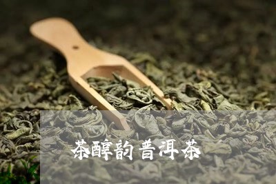 茶醇韵普洱茶/2023112657452