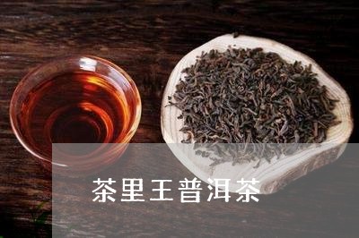 茶里王普洱茶/2023042820921