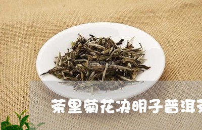 茶里菊花决明子普洱茶/2023101741697