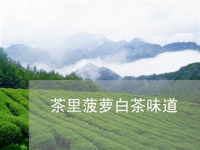 茶里菠萝白茶味道/2023070877313