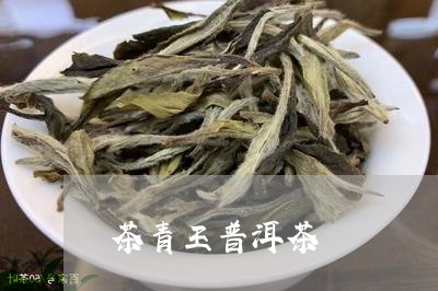 茶青王普洱茶/2023042796338