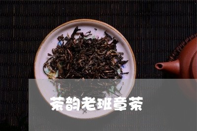 茶韵老班章茶/2023090788692