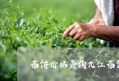 茶饼价格查询九江茶饼/2023071668461