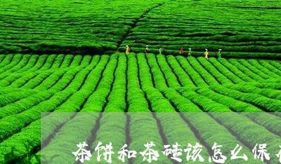 茶饼和茶砖该怎么保存/2023071640493