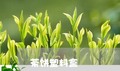 茶饼塑料盒/2023090272525