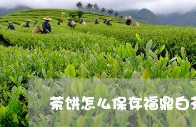 茶饼怎么保存福鼎白茶/2023091573813