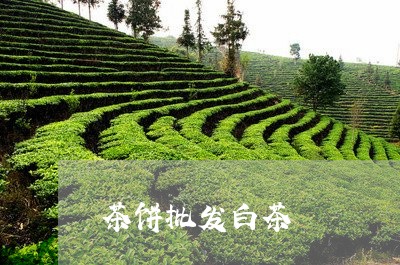 茶饼批发白茶/2023052468369