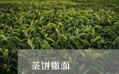 茶饼撒面/2023090140692