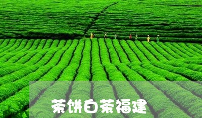 茶饼白茶福建/2023052441514