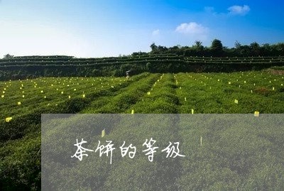 茶饼的等级/2023090216059