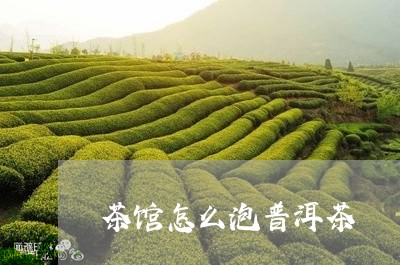 茶馆怎么泡普洱茶/2023120409375