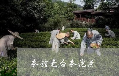 茶馆老白茶泡煮/2023060947251