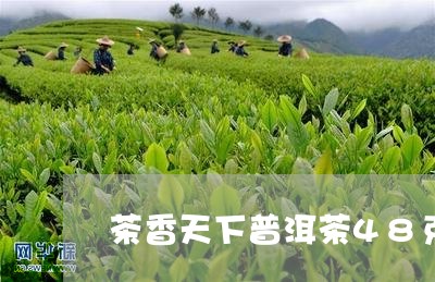 茶香天下普洱茶48克/2023092559695