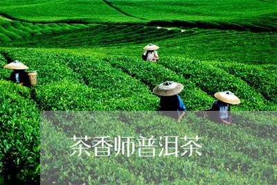 茶香师普洱茶/2023042899499