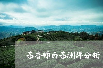 茶香师白茶测评分析/2023073104038