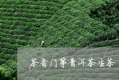 茶香门第普洱茶生茶/2023091517179