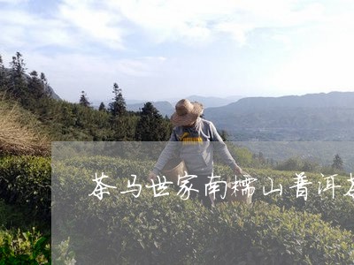 茶马世家南糯山普洱茶/2023112772726