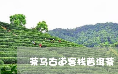 茶马古道客栈普洱茶/2023091466482