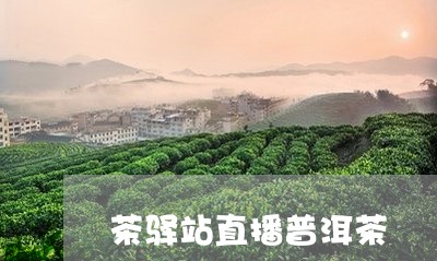 茶驿站直播普洱茶/2023112613369