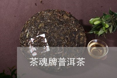 茶魂牌普洱茶/2023042855986