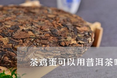 茶鸡蛋可以用普洱茶吗/2023092571726