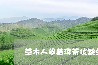 草木人间普洱茶优缺点/2023072413715