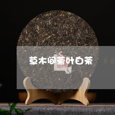 草木间茶叶白茶/2023061064149