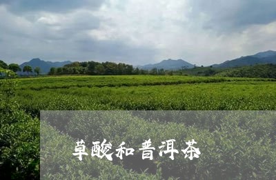 草酸和普洱茶/2023042681542