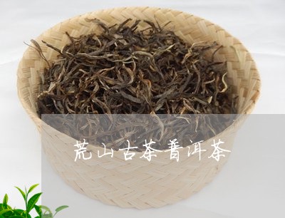 荒山古茶普洱茶/2023102602503