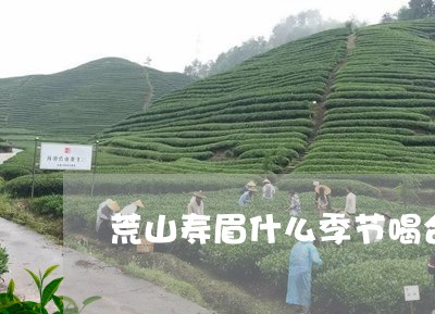 荒山寿眉什么季节喝合适/2023092451693