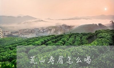 荒山寿眉怎么喝/2023112472714