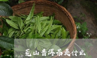 荒山普洱茶是什么/2023110885050