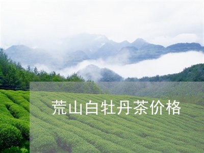 荒山白牡丹茶价格/2023090759481