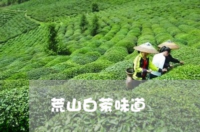 荒山白茶味道/2023052334372