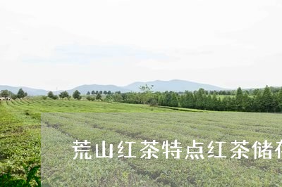 荒山红茶特点红茶储存及保质期/2023060137281