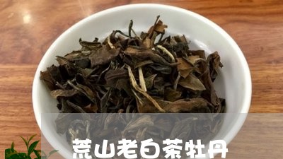 荒山老白茶牡丹/2023061013925